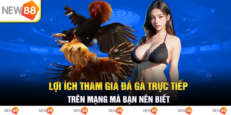 Lợi ích tham gia đá gà trực tiếp trên mạng mà bạn nên biết