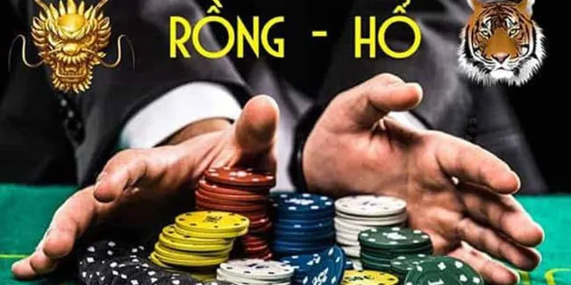 Các thuật ngữ cơ bản trong trò chơi Rồng Hổ