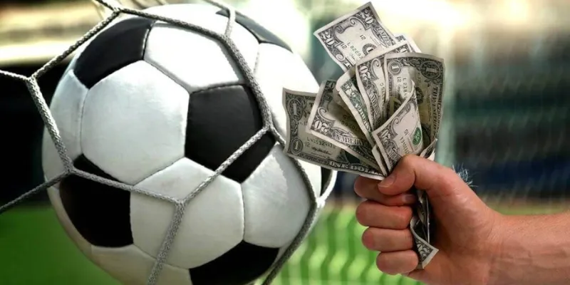 Theo dõi biến động tỷ lệ cược