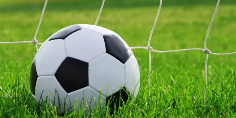 Kinh nghiệm và lời khuyênđể tránh bị nhà cái lừa bởi kèo dụ