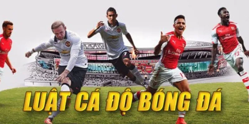 Tầm quan trọng khi nắm luật cá độ bóng đá