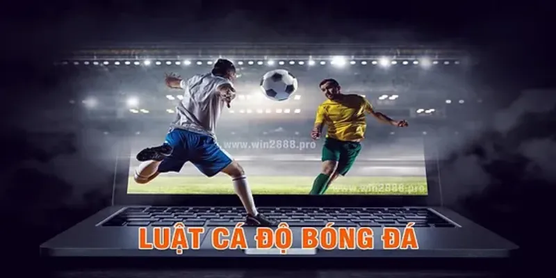 Những quy định cơ bản về luật cá độ bóng đá tại Việt Nam