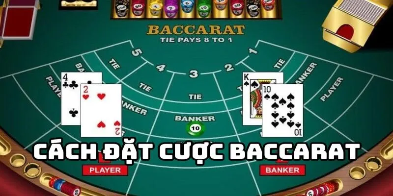 Thủ thuật đặt cược Baccarat thông thạo hội viên mới