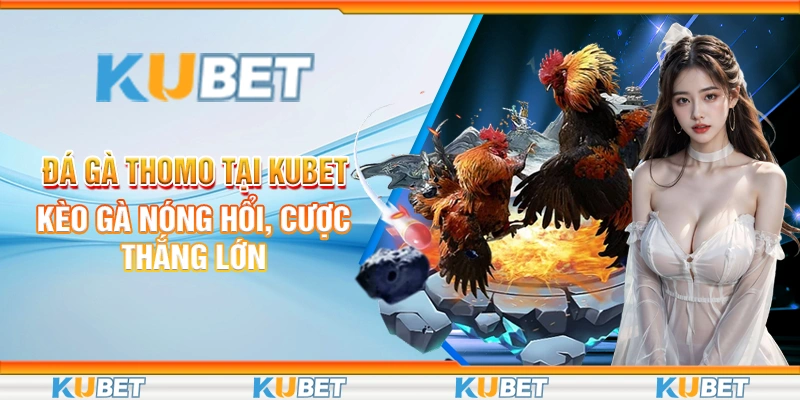 đá gà Thomo