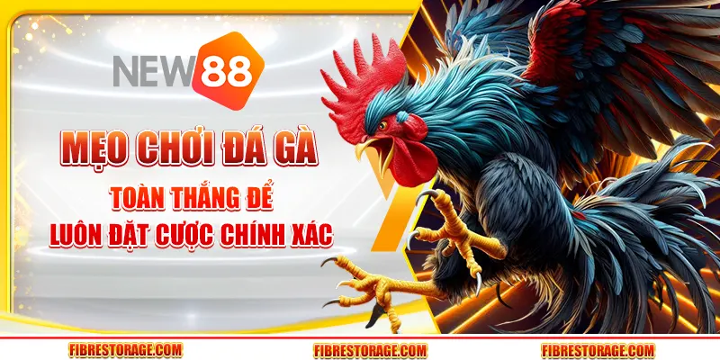 Mẹo chơi đá gà toàn thắng để luôn đặt cược chính xác