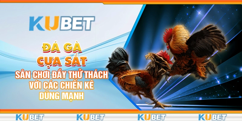 Ga-Cua-Sat-San-Choi Day Thu Thach Voi Cac-Chien-Ke-Dung-Manh