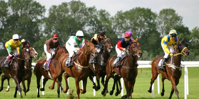 Một số loại cược phổ biến trong đua ngựa