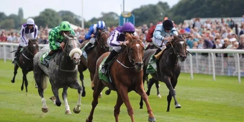 Chia sẻ cách tính toán tỷ lệ cược và giá trị cược trong đua ngựa