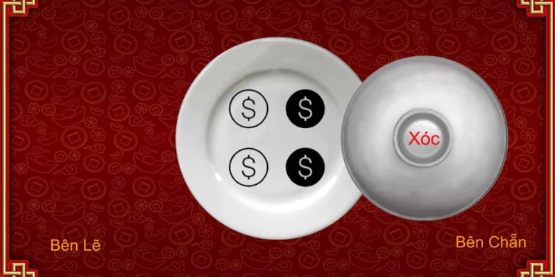 Phân tích kết quả để áp dụng chiến thuật