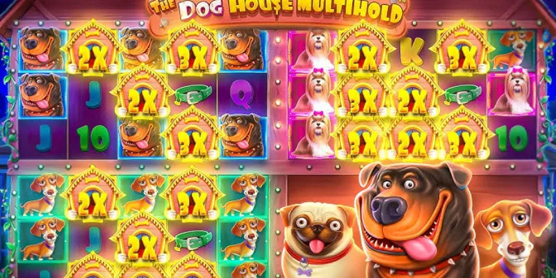 Một số điểm nổi bật đặc biệt của The Dog House