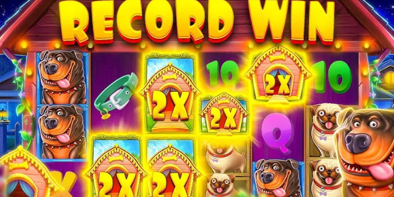 Hướng dẫn cách thức hoạt động của The Dog House