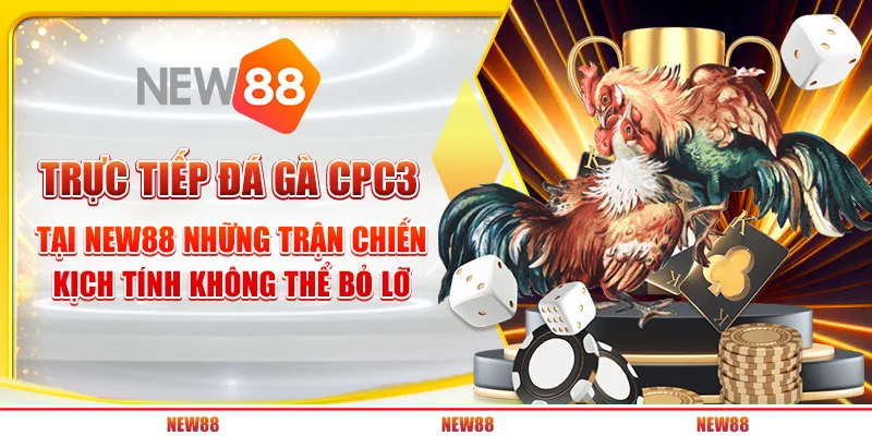 Trực tiếp đá gà CPC3 tại New88 - Những trận chiến kịch tính không thể bỏ lỡ