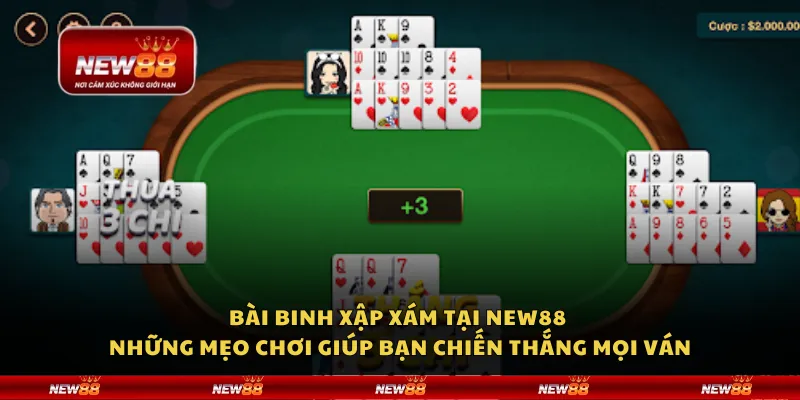 Bài binh xập xám tại New88 - Những mẹo chơi giúp bạn chiến thắng mọi ván