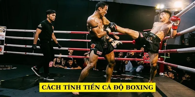 Sơ nét về cá cược boxing trên nền tảng 789bet