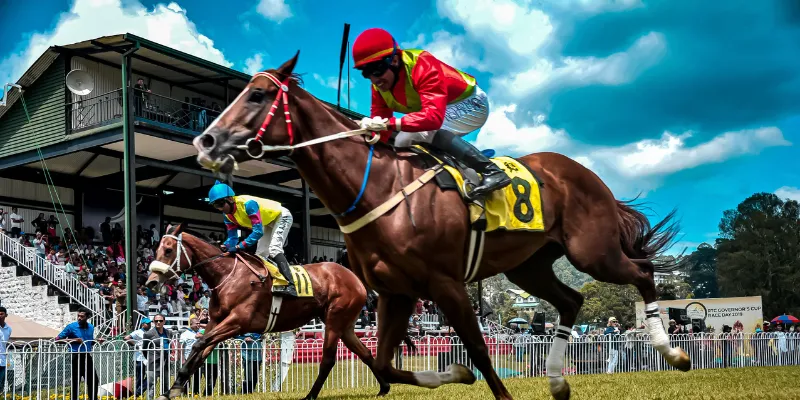 Cách chơi đặt cược game đua ngựa