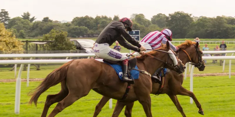 Mẹo đặt cược game đua ngựa luôn thắng