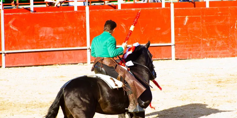 Lý do đặt cược game đua ngựa thu hút người tham gia