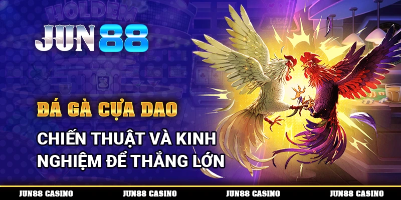 Đá Gà Cựa Dao
