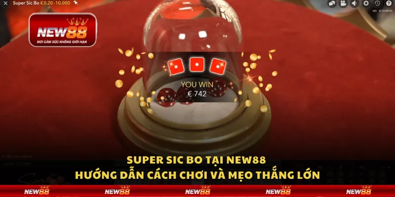 Super Sic Bo tại New88 - Hướng dẫn cách chơi và mẹo thắng lớn