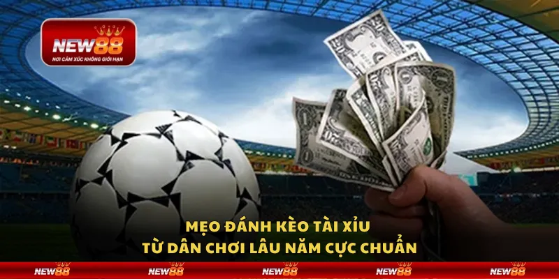 Mẹo đánh kèo Tài Xỉu từ dân chơi lâu năm cực chuẩn