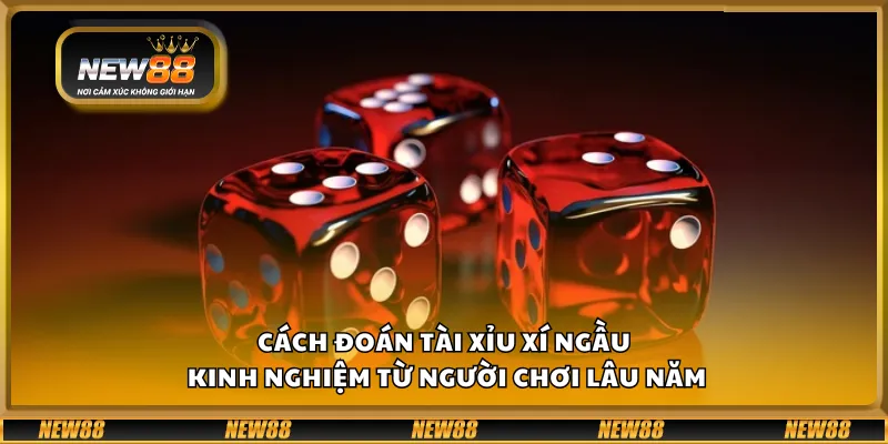 Cách đoán tài xỉu xí ngầu – Kinh nghiệm từ người chơi lâu năm