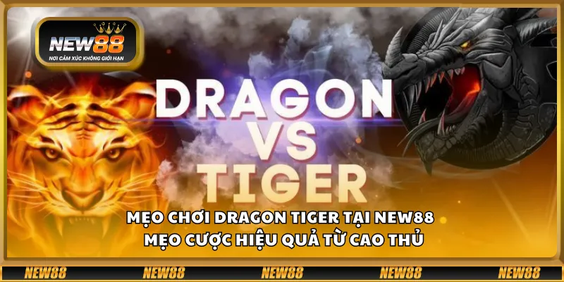 Mẹo chơi Dragon Tiger tại New88 – Mẹo cược hiệu quả từ cao thủ